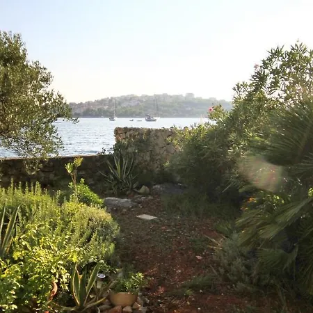 Stupin Celine 10321b