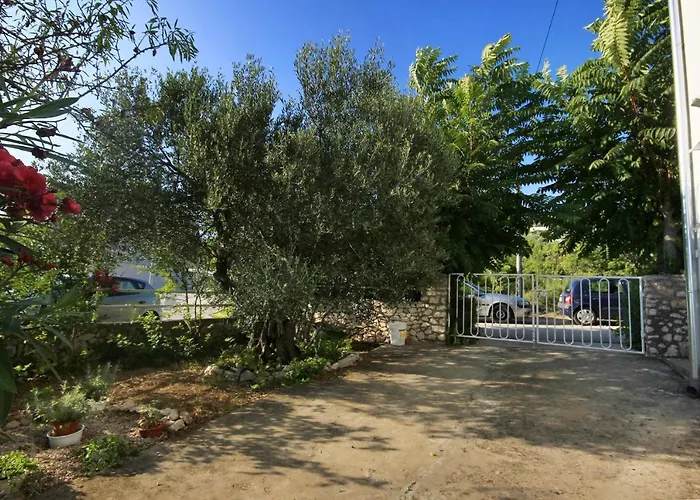 Stupin Celine 10321b * רוגוזניצה